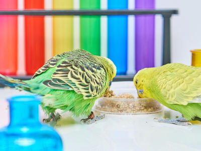Studie-Probanden Ronny und Leopold